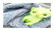 Gnorp